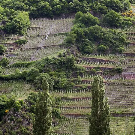 Ernst Cluesserath Weingut & Weinhotelchen Konukevi Trittenheim