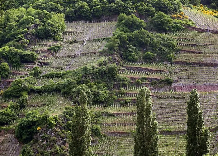 Ernst Cluesserath Weingut & Weinhotelchen Guest house Trittenheim