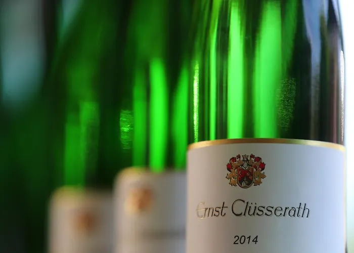 Ernst Cluesserath Weingut & Weinhotelchen Guest house
