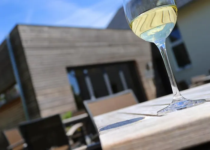 Ernst Cluesserath Weingut & Weinhotelchen Guest house