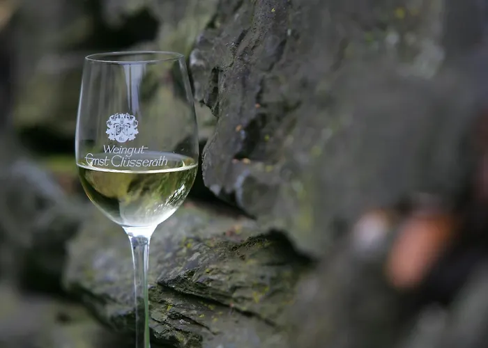 Guest house Ernst Cluesserath Weingut & Weinhotelchen 4*