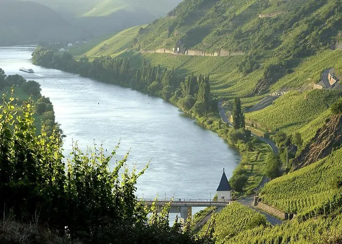 게스트하우스 Ernst Cluesserath Weingut & Weinhotelchen 트리텐하임